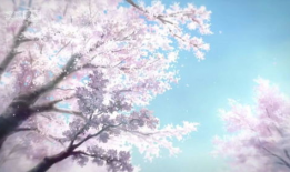 樱花动漫网站,带你领略动漫世界的缤纷色彩